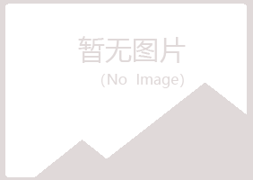 根河字迹艺术有限公司